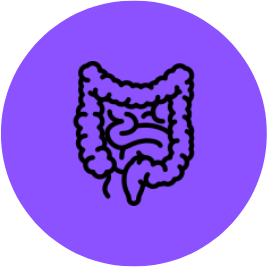 Digestive Gut Health